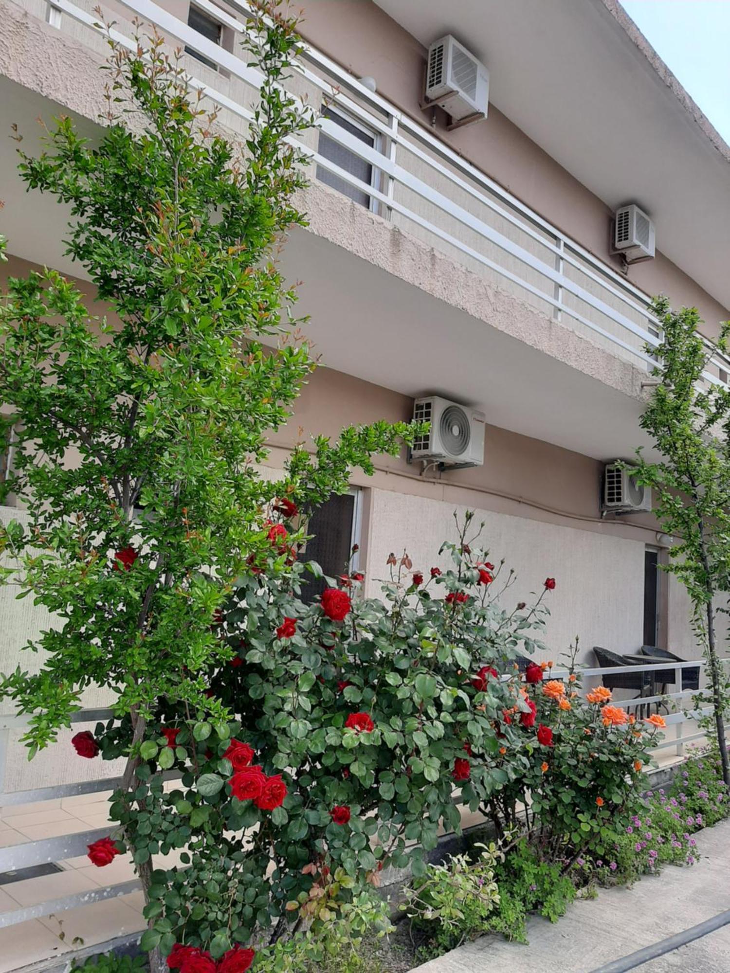 Studios Mona Agios Georgios  Exteriér fotografie